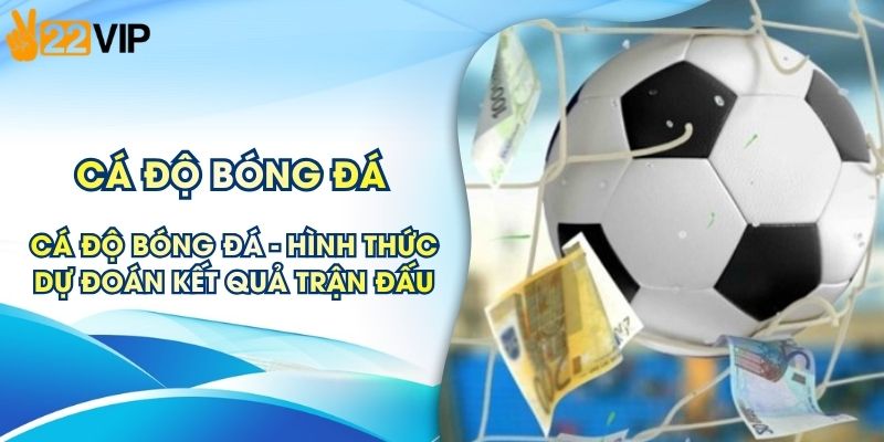 Cá Độ Bóng Đá 22VIP - Hình Thức Dự Đoán Kết Quả Trận Đấu